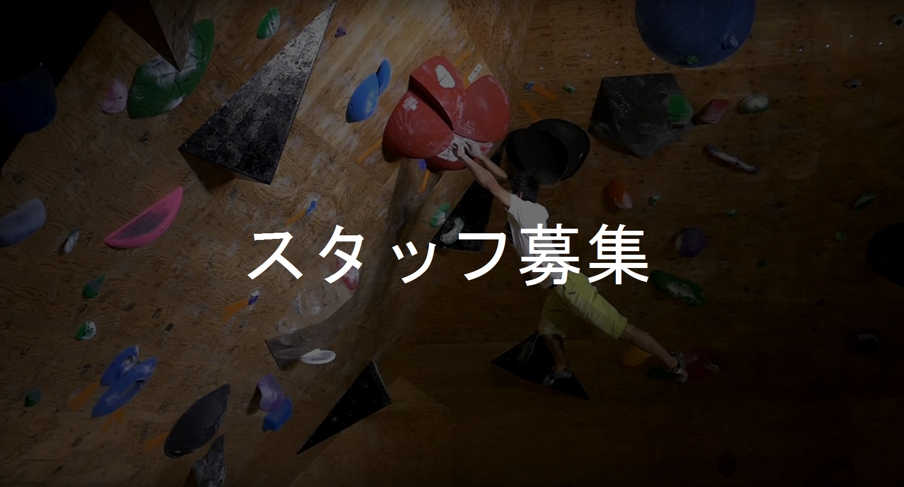 【スタッフ募集】QRiMoで様々な挑戦してみませんか？