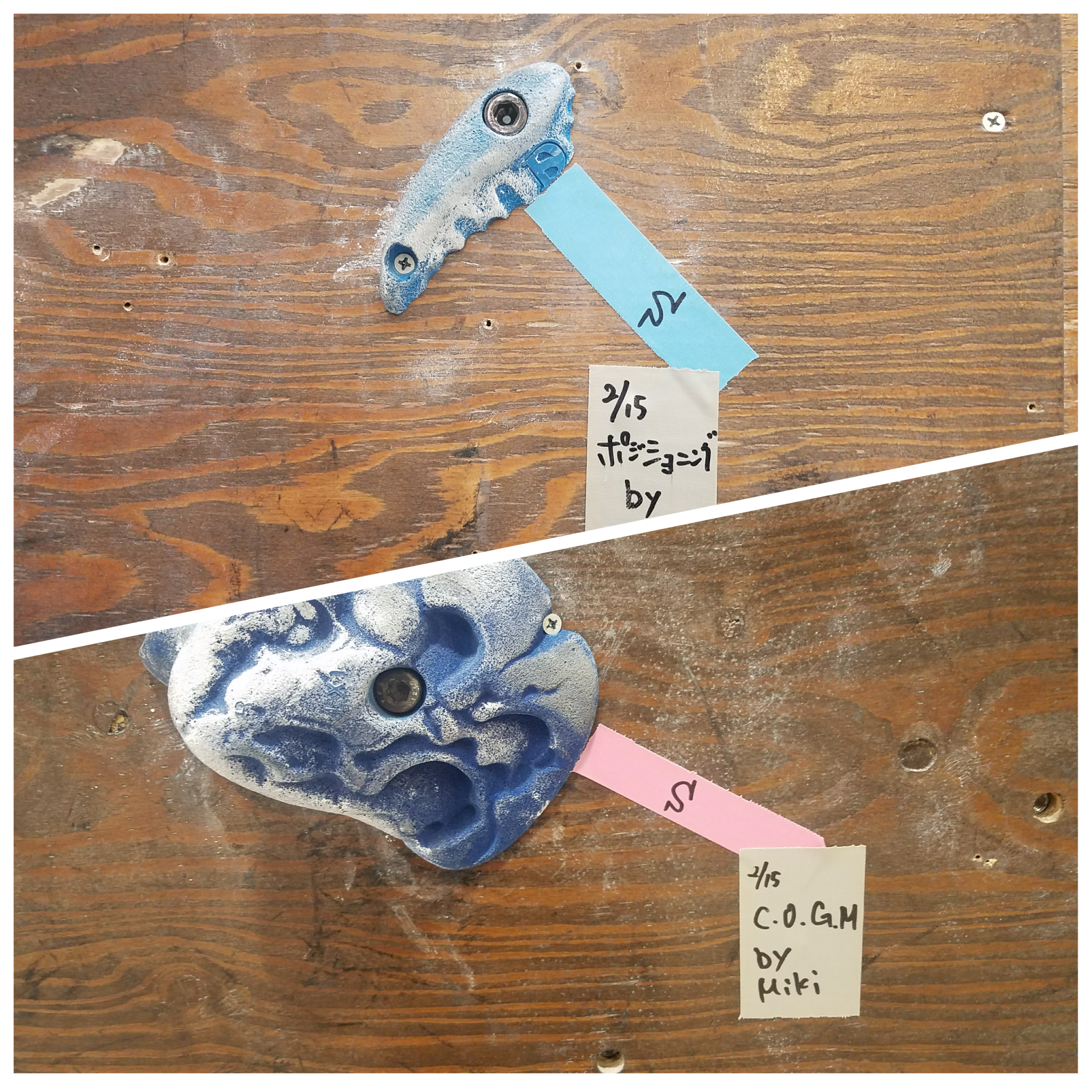 NEWプロブレムとキッズチャレンジコンペ